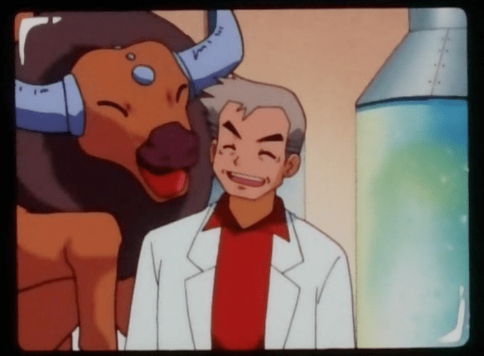 Look at that. See how cute that is!