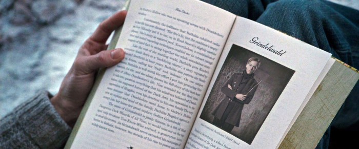 Harry_Potter_Shipping_003