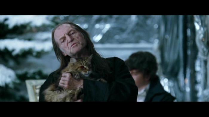 For someone who hates magic people so much it's a bit ironic he owns a magic cat.